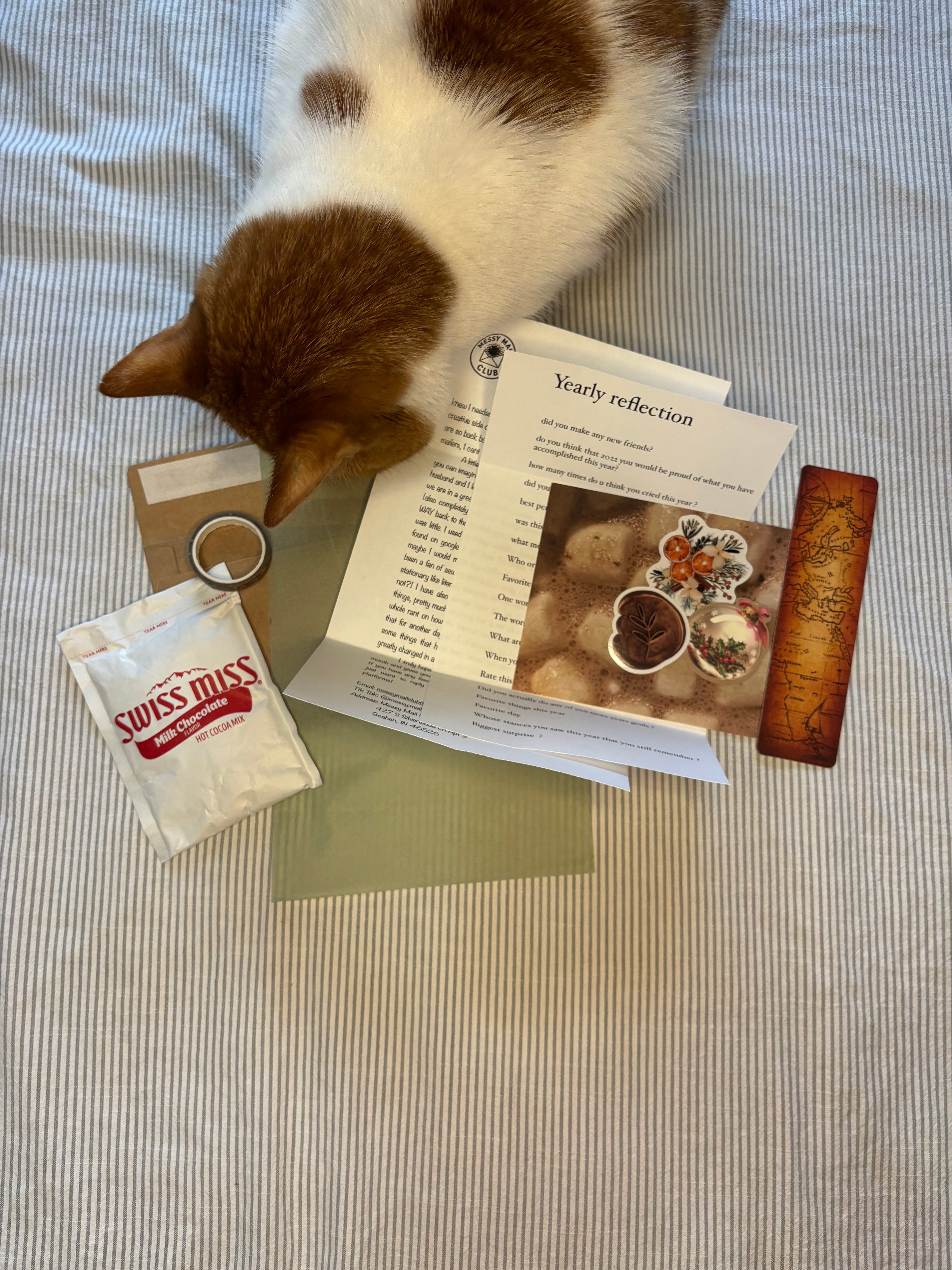 Messy Mail Club - 12 Month Subscription - Premium Mailer